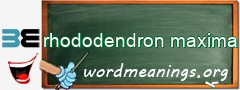 WordMeaning blackboard for rhododendron maxima